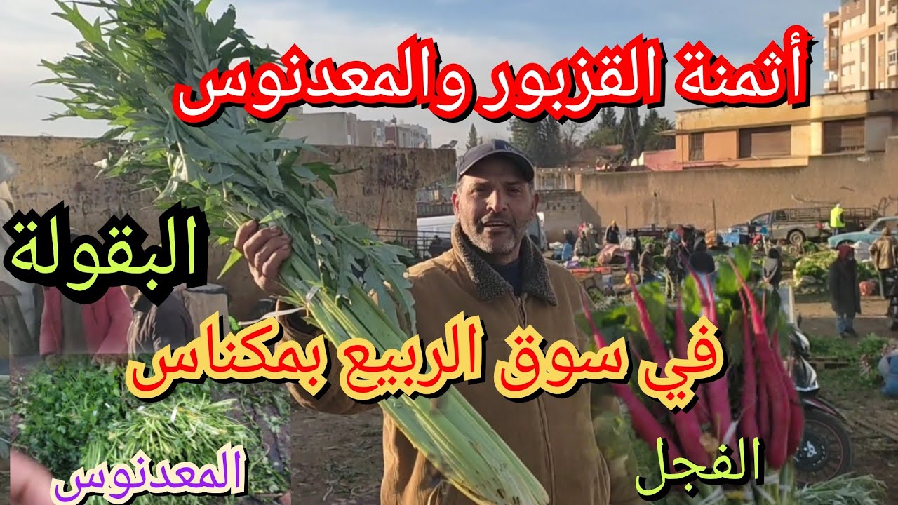 3 mars 2024اثمنة القزبور والمعدنوس والبقولة من سوق الجملة بمدينة مكناس