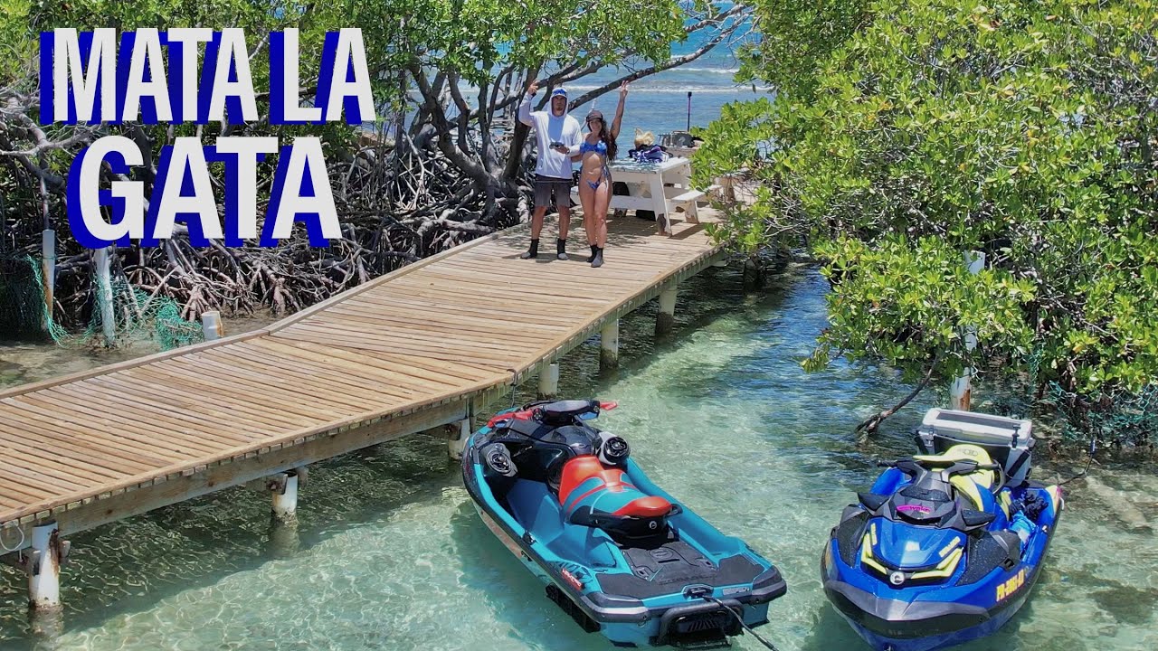 Isla Mata La Gata, La Parguera | Puerto Rico