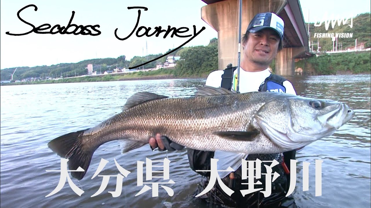 【Seabass Journey】初夏のトップゲームが熱い！水面炸裂！ド迫力のバイトシーン満載！！