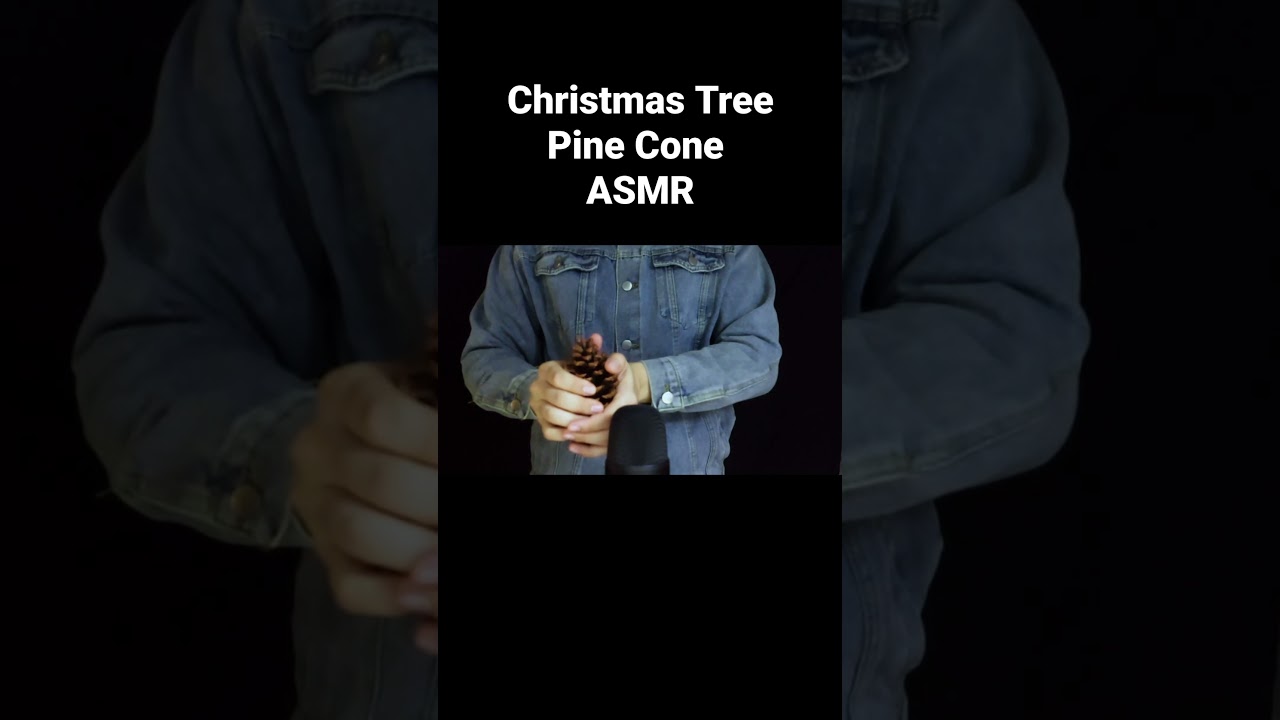 ASMR Christmas Tree Pine Cone Triggers #christmastree #pinecone #triggers #asmr