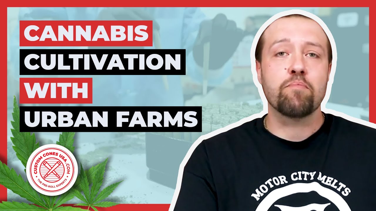 Making Hash Infused Pre-Rolls at Scale | Custom Cones USA