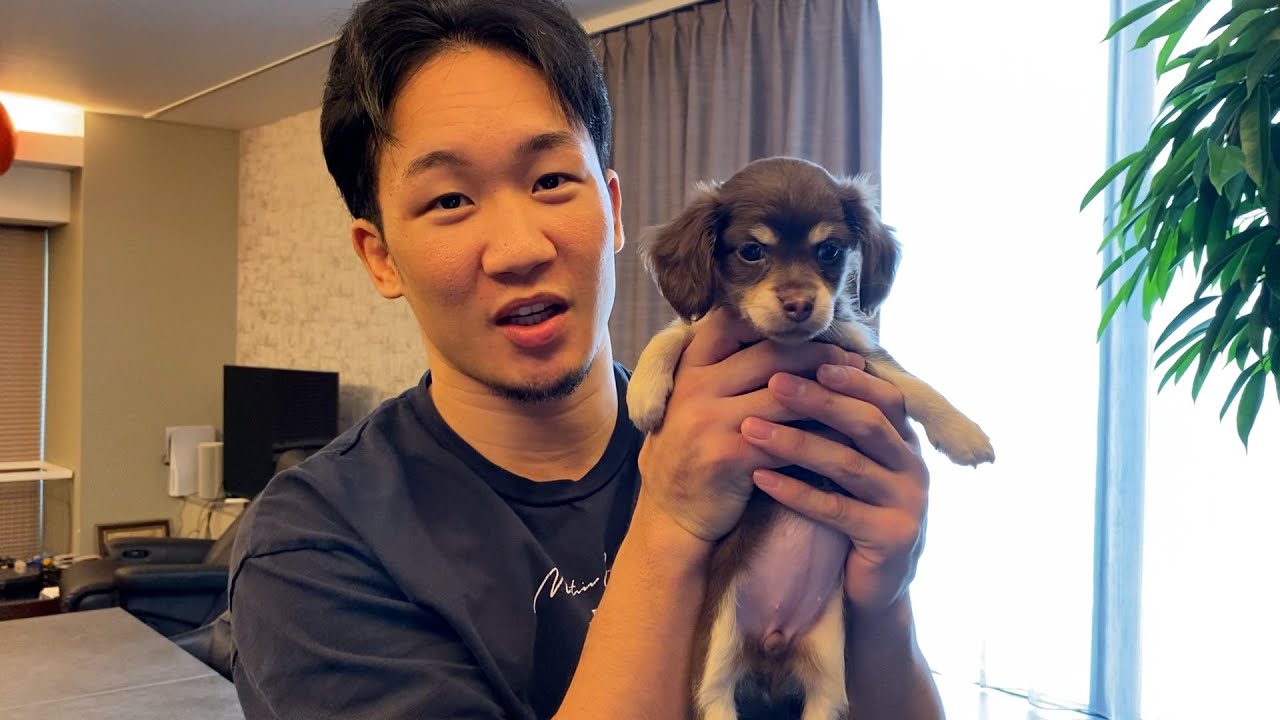 新メンバーが入りました