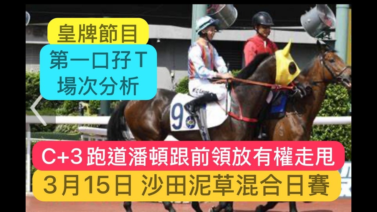 3月15日 沙田泥草混合日賽  皇牌節目 第一口孖T場次分析 C+3跑道潘頓跟前領放有權走甩｜賽馬賠率｜沙田泥草混合日賽