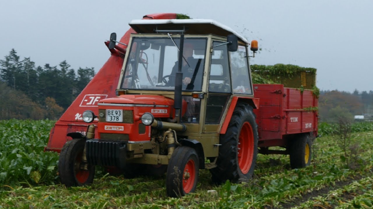 ZETOR 6718 Topping Sugar Beets