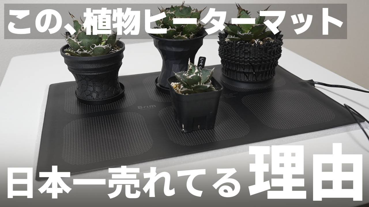 【おすすめ】観葉植物の保温に最適！BRIMヒーターマット（ヒートマット）「HMT-330S」レビュー！サーモスタットで温度調整＆スマートプラグでタイマー管理も！アガベ｜多肉｜塊根｜果物｜播種｜家庭菜園