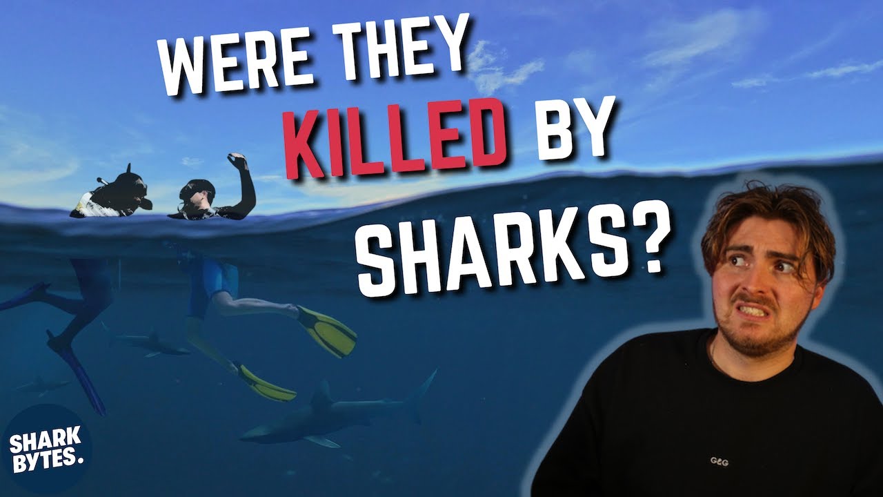 The (True) Mysterious Story Behind 'Open Water'
