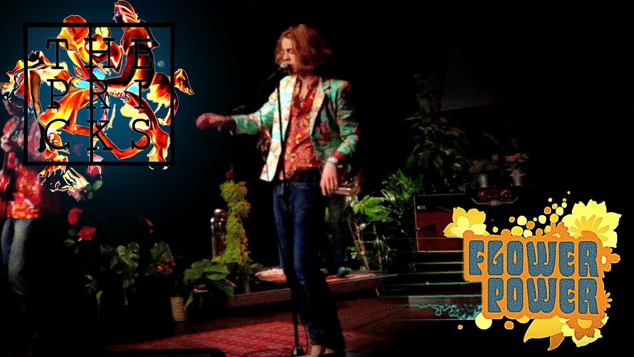 The Pricks - Diamond Dogs (David Bowie cover)Live at the Flower Power concert