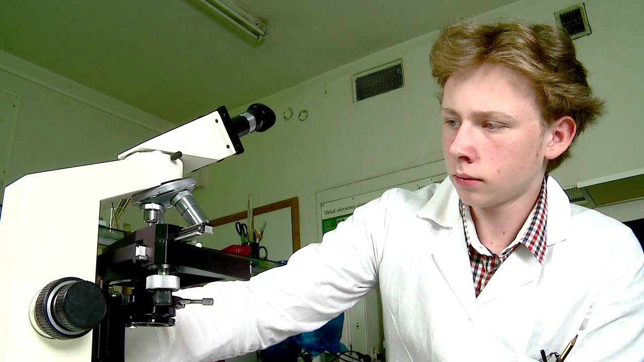 Obliczanie ilości komórek drożdży Saccharomyces Cerevisiae