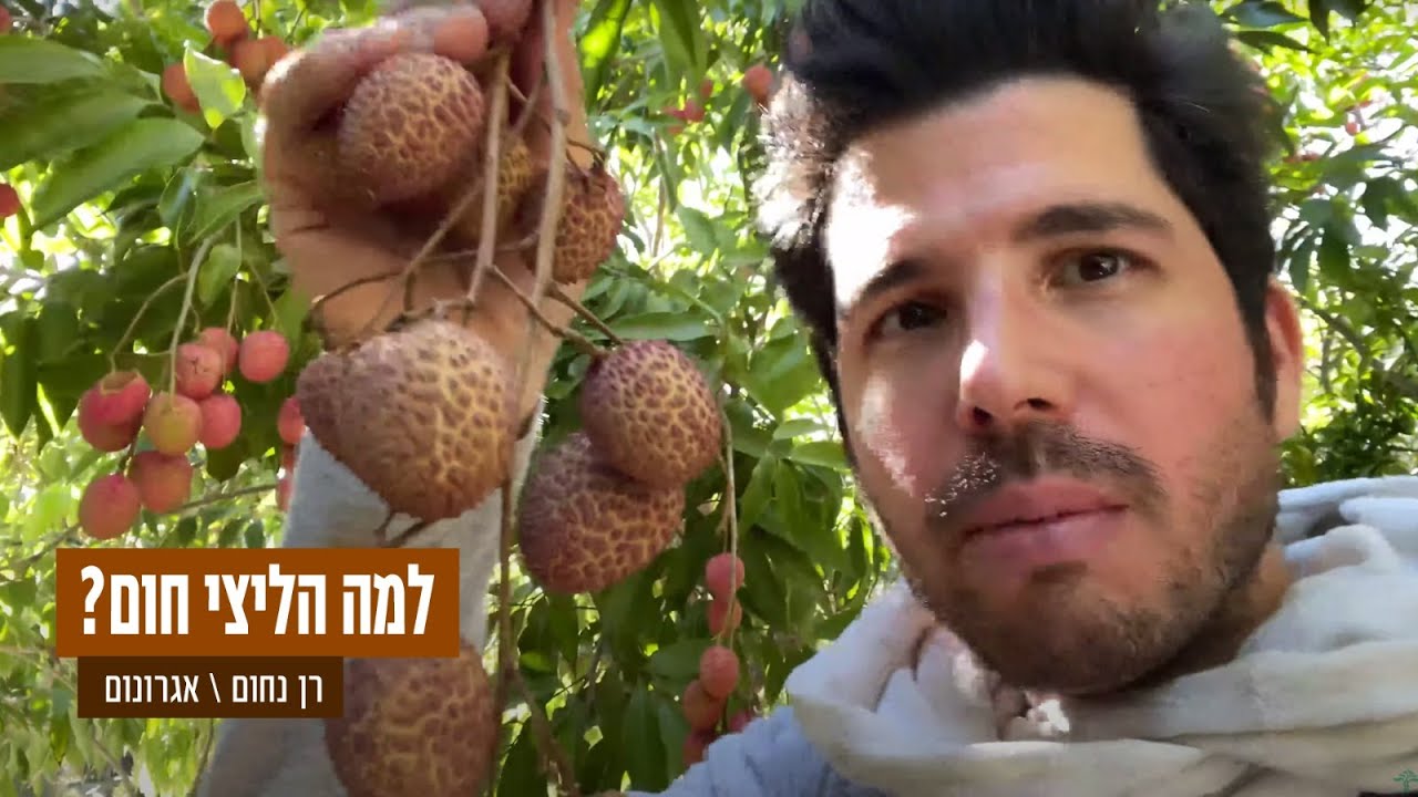 למה הליצי חום 🤷🏻