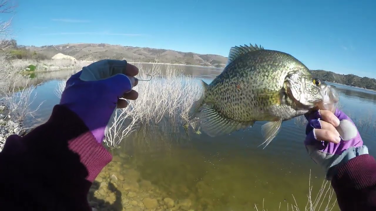 Crappie fishing at Lake San Antonio