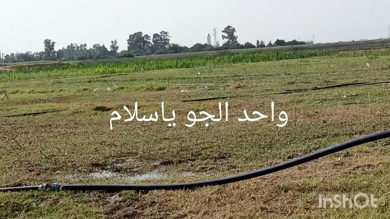 نهاري كيف كيدوز 😀 مشيت عند صاحبتي العروبية 😘 
