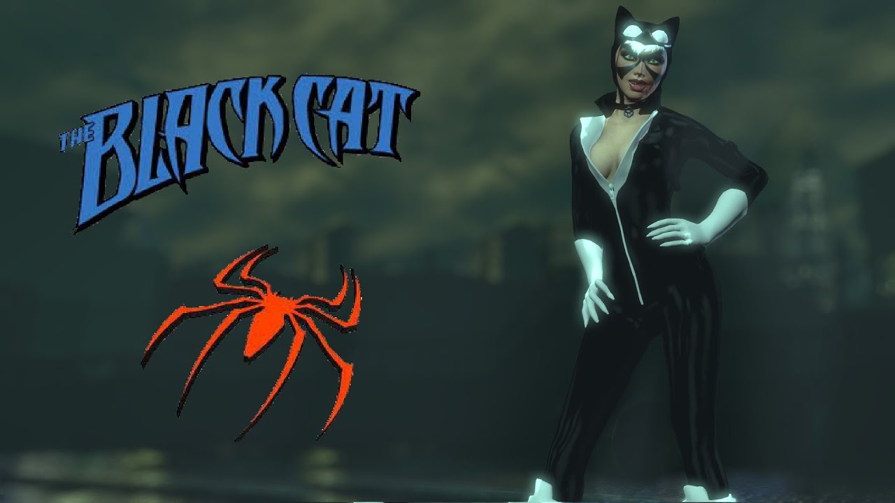 SKIN; Batman; Arkham City; Black Cat
