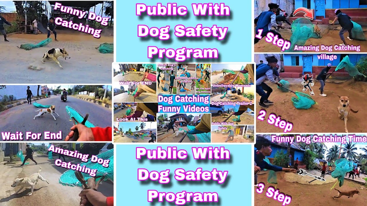 Anti-Rabies Vaccination Program | Banglore City Dog Catching |ABC Dog Catching 