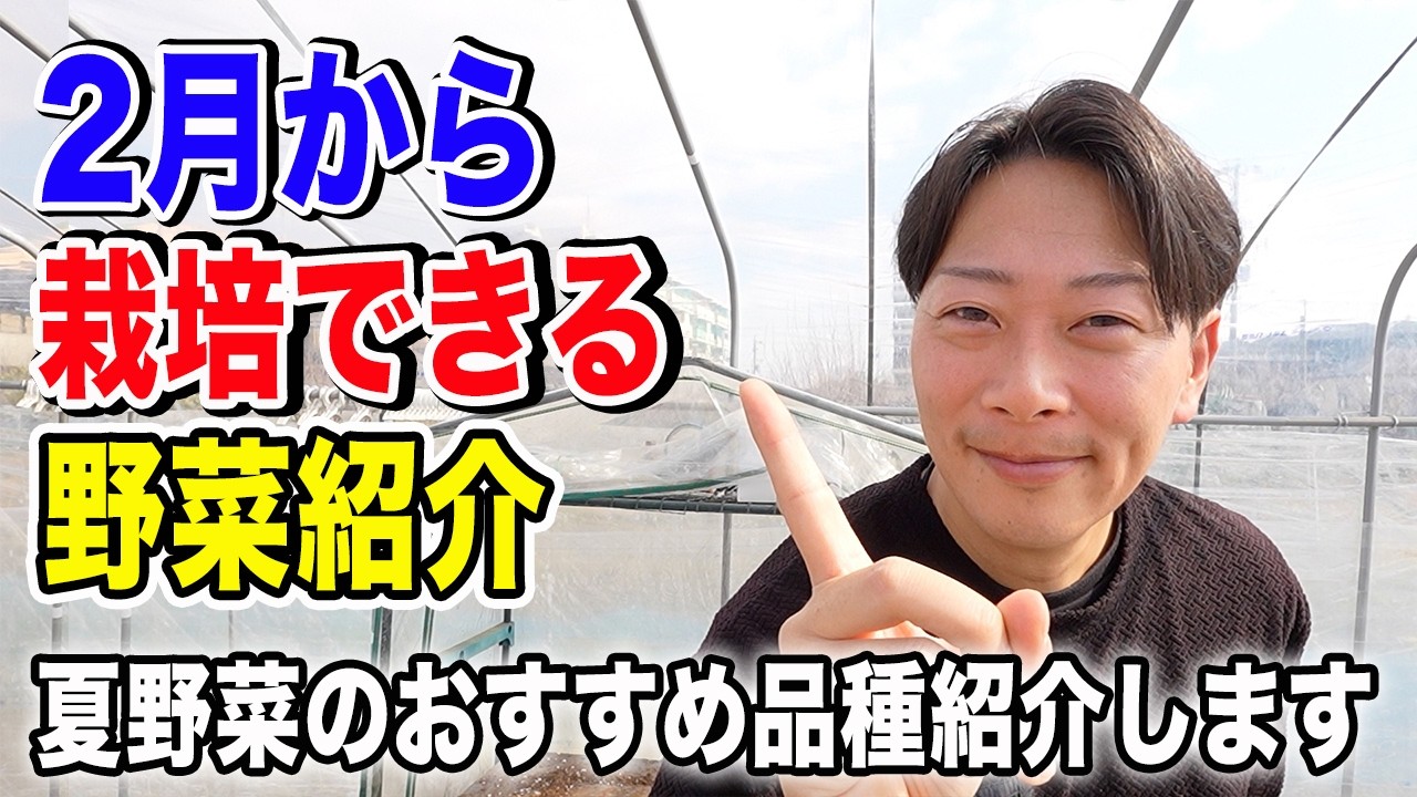 2月から栽培できる野菜紹介　夏野菜の紹介始めます！おすすめ品種はこれ【トマト・なす・ピーマン・レタス・白菜・ジャガイモ】