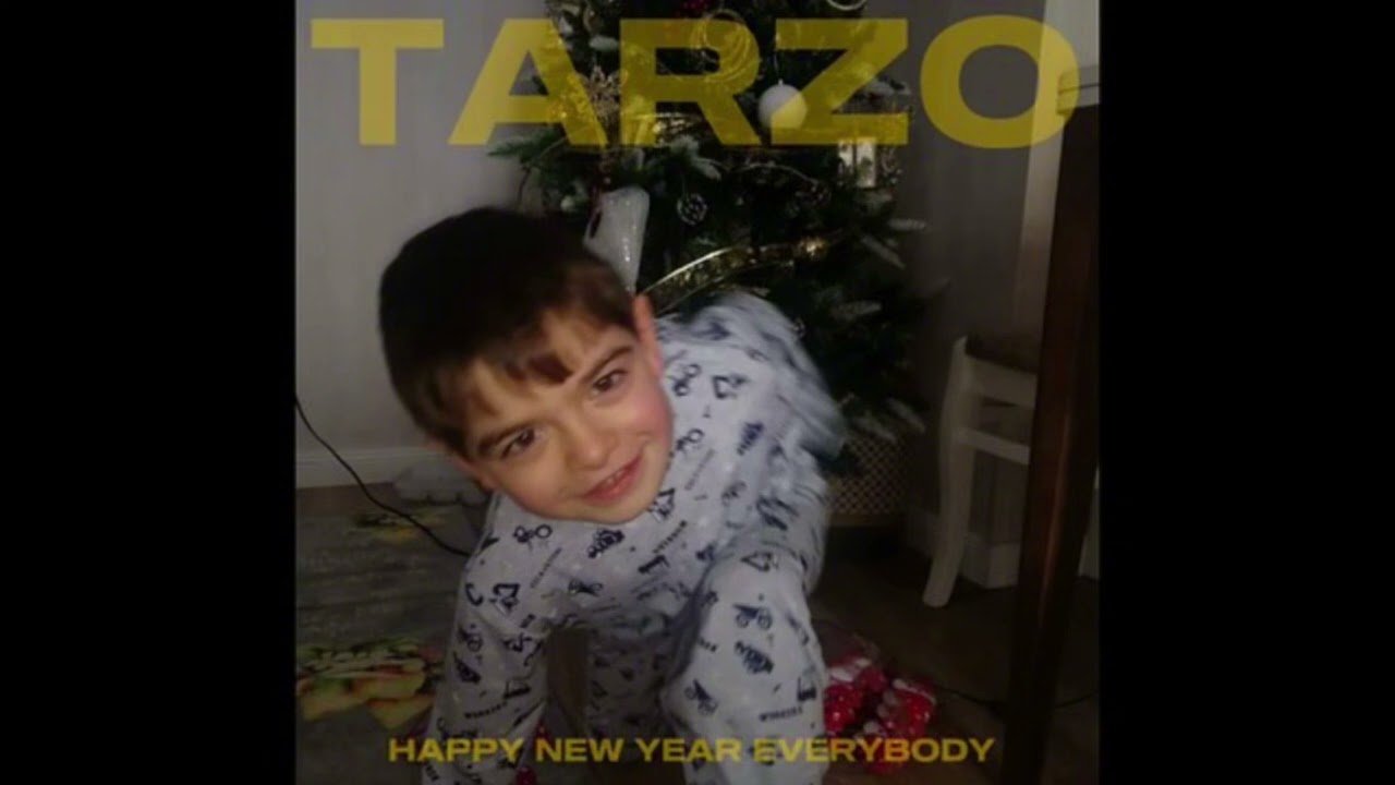 TARZO-Happy New Year Everybody(guitar only-official audio)