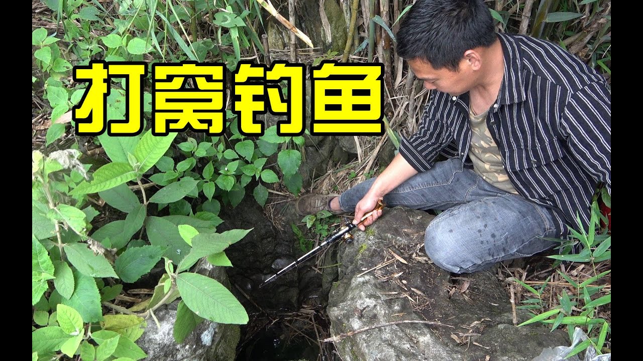 野钓：提前几天打窝，阿琪一下竿就乐坏了，一条接一条咬钩，过瘾【农村阿琪】