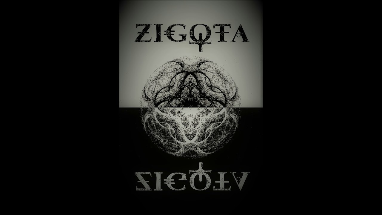 ZiGoTa - Zigota