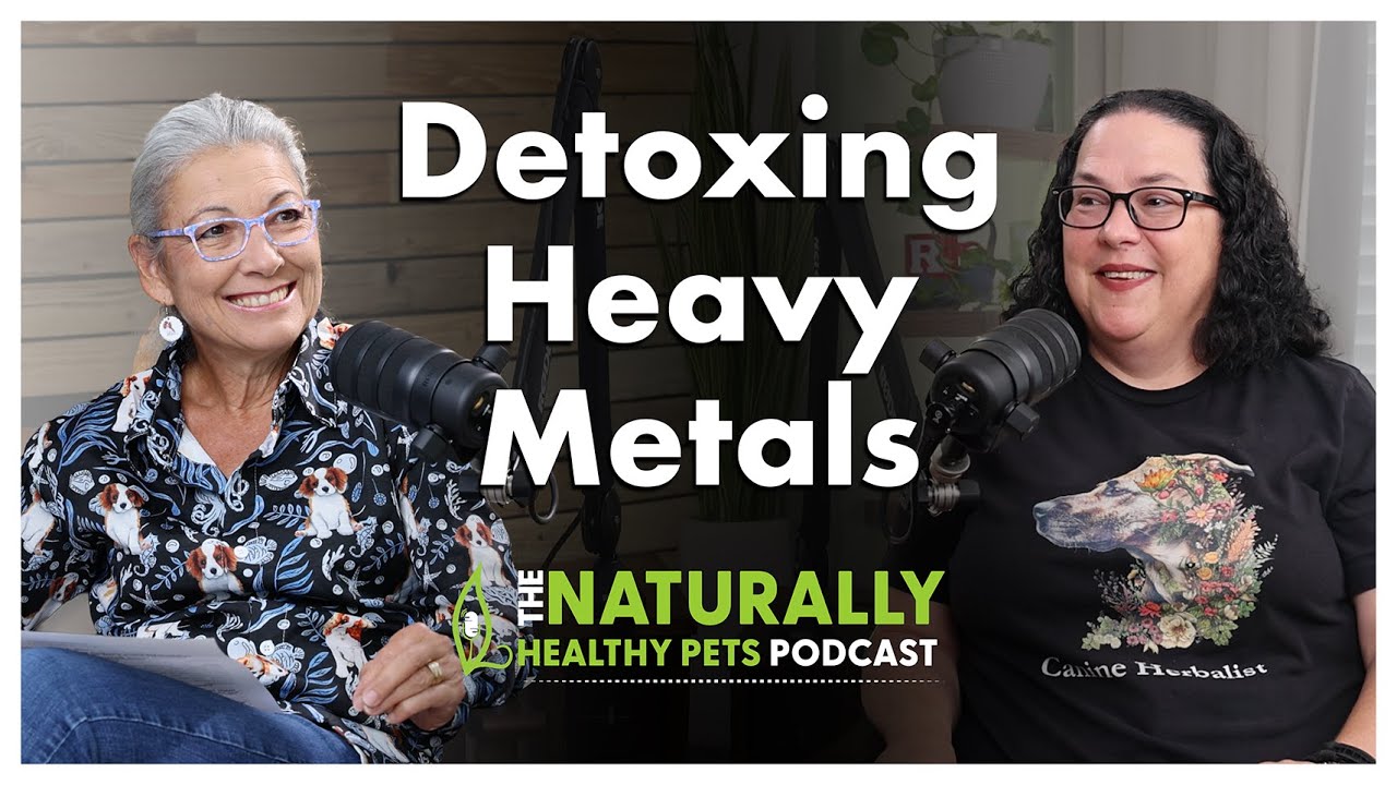 Detoxing With Plant Stem Cell Therapy | NHP Podcast Ep 74 | Dr. Judy Morgan & Rita Hogan