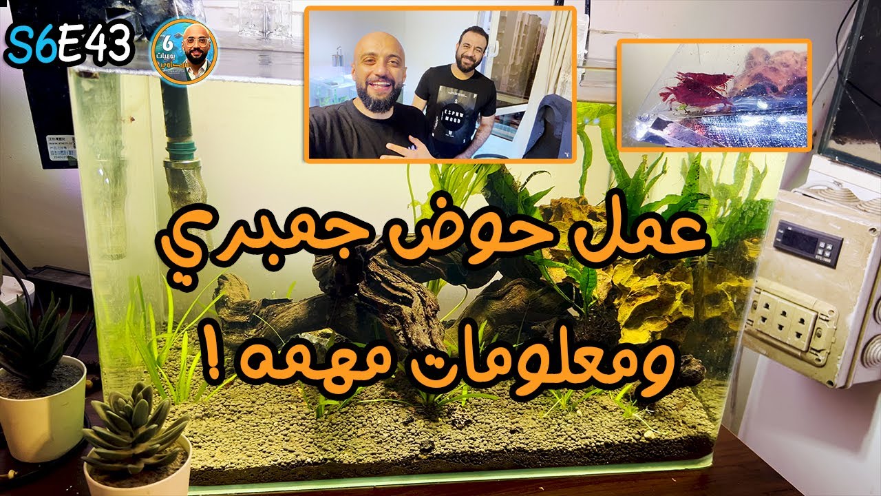 S6E43 - عمل حوض جمبري ومعلومات مهمه
