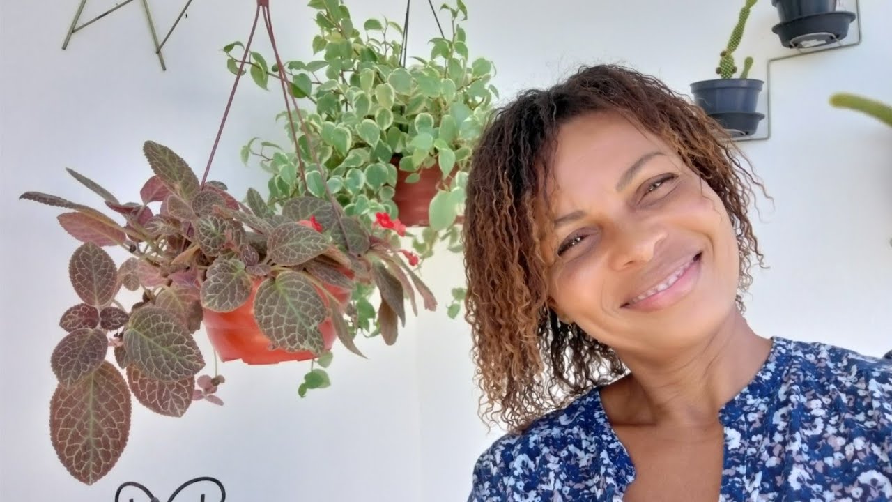 Mostrando todas minhas Plantas Pendentes ❤