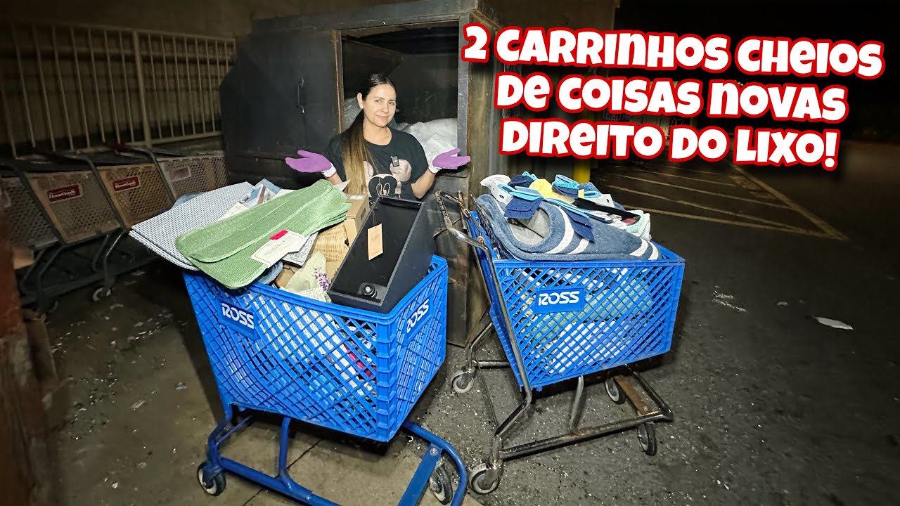 2 CARRINHOS CHEIOS DE COISAS NOVAS DIRETO DO LIXO DAS LOJAS DOS ESTADOS UNIDOS!
