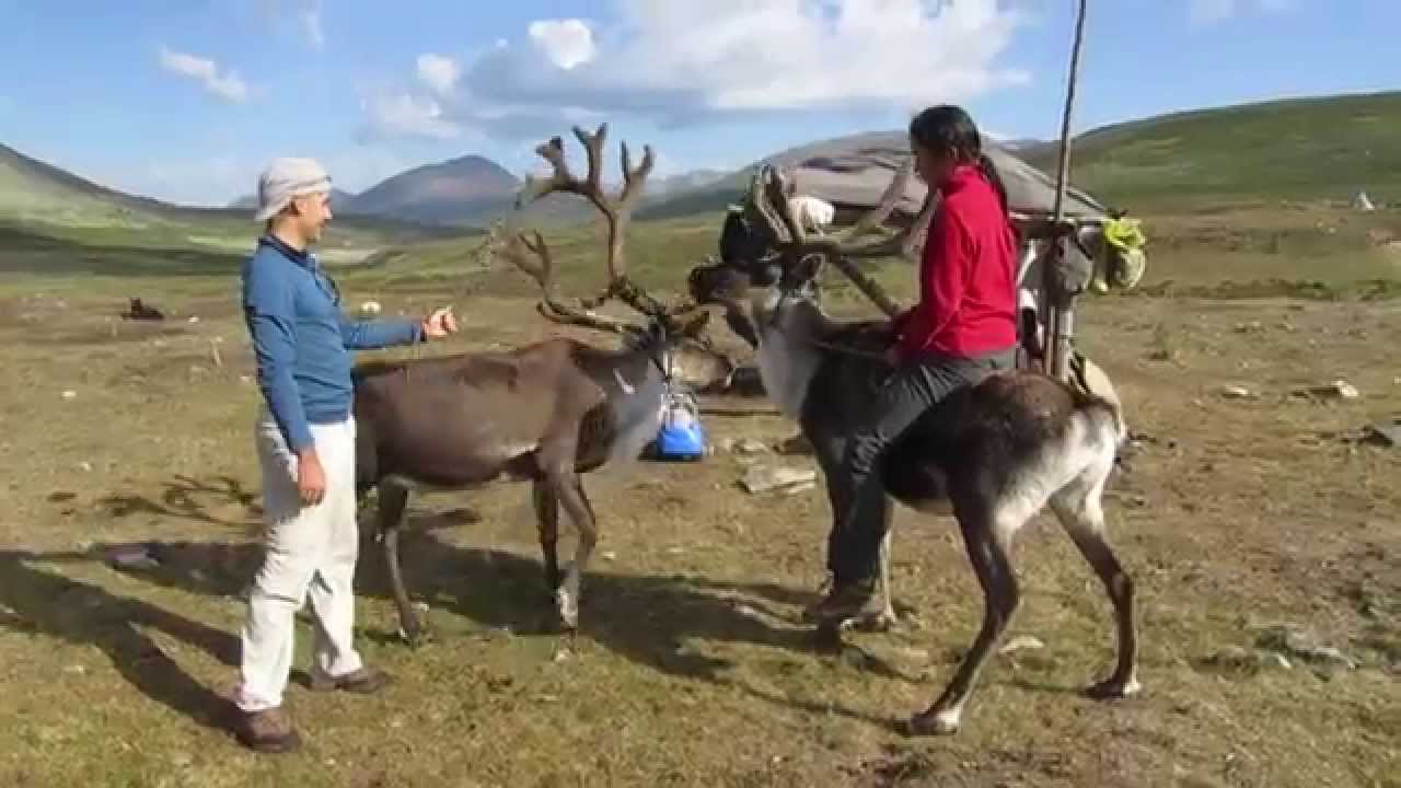 Riding Reindeer in Mongolia