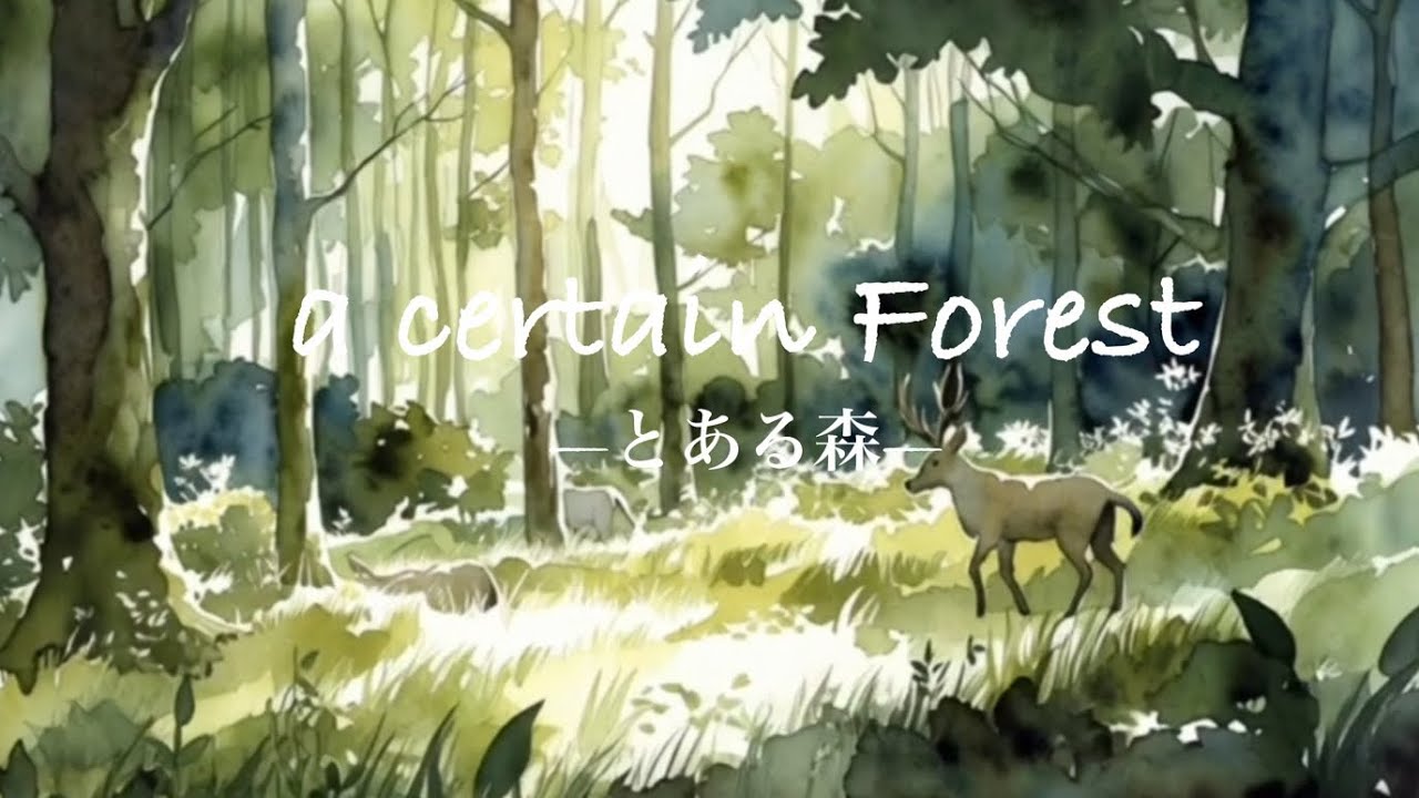 a certain Forest-とある森-/forest(森),healing(癒し) ,sleep(睡眠)