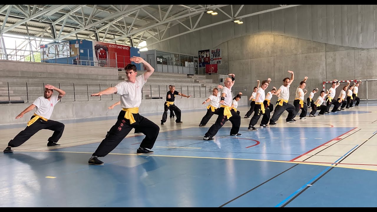 Grand Master Wong Chi Yuen - Seminar 5/6th July 2025 - LYON (France)