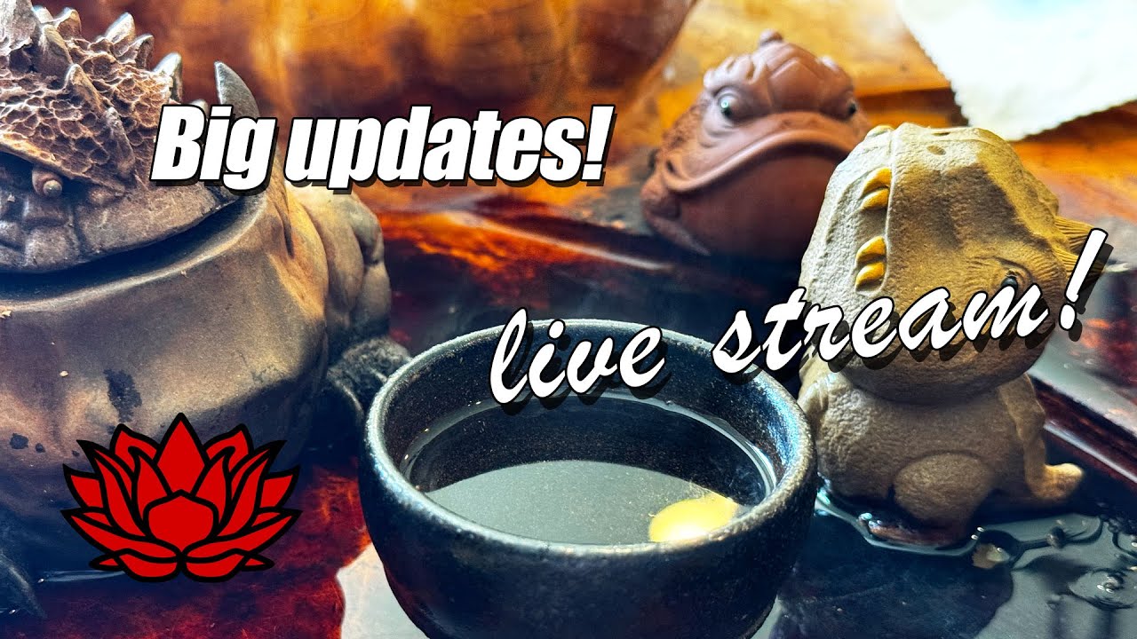 Big Updates! New tea. We're going to China. What's up with tariffs?
