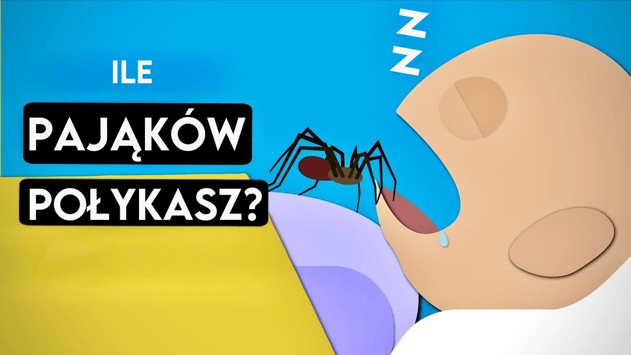 Czy naprawdę połykamy 8 pająków rocznie podczas snu?