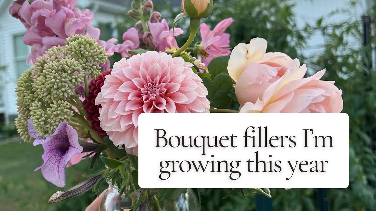 Bouquet fillers to grow in 2026 🌸
