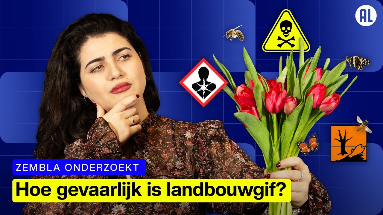De schaduwzijde van de bloembollenteelt | Zembla Onderzoekt