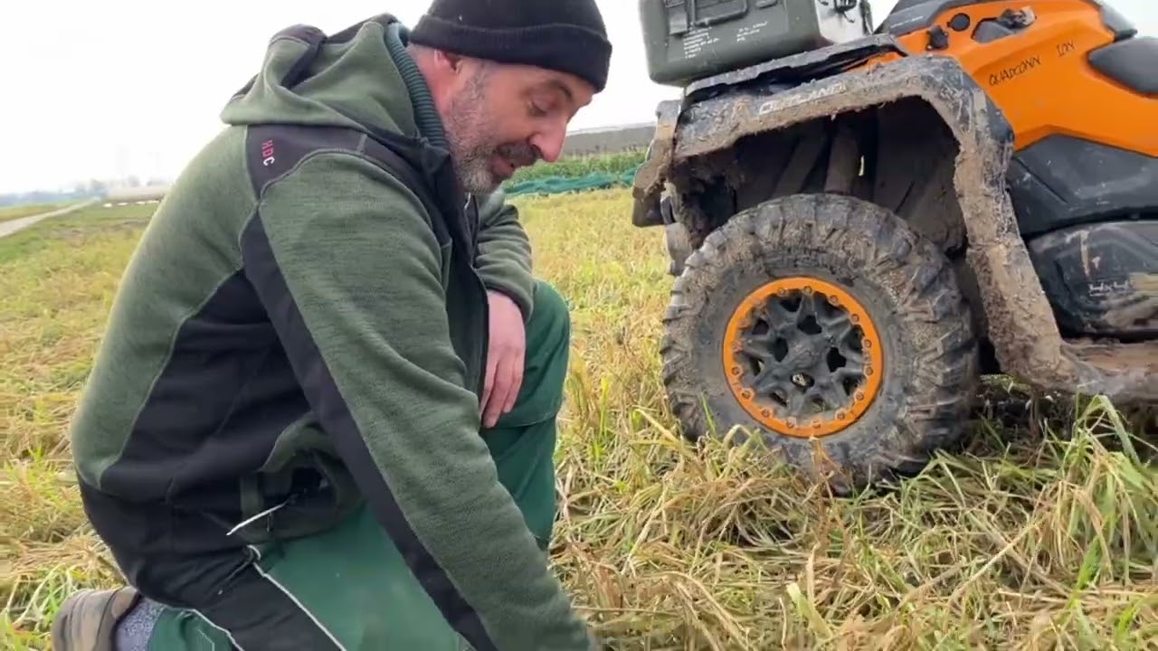 Bodenproben entnehmen zur Feldvorbereitung