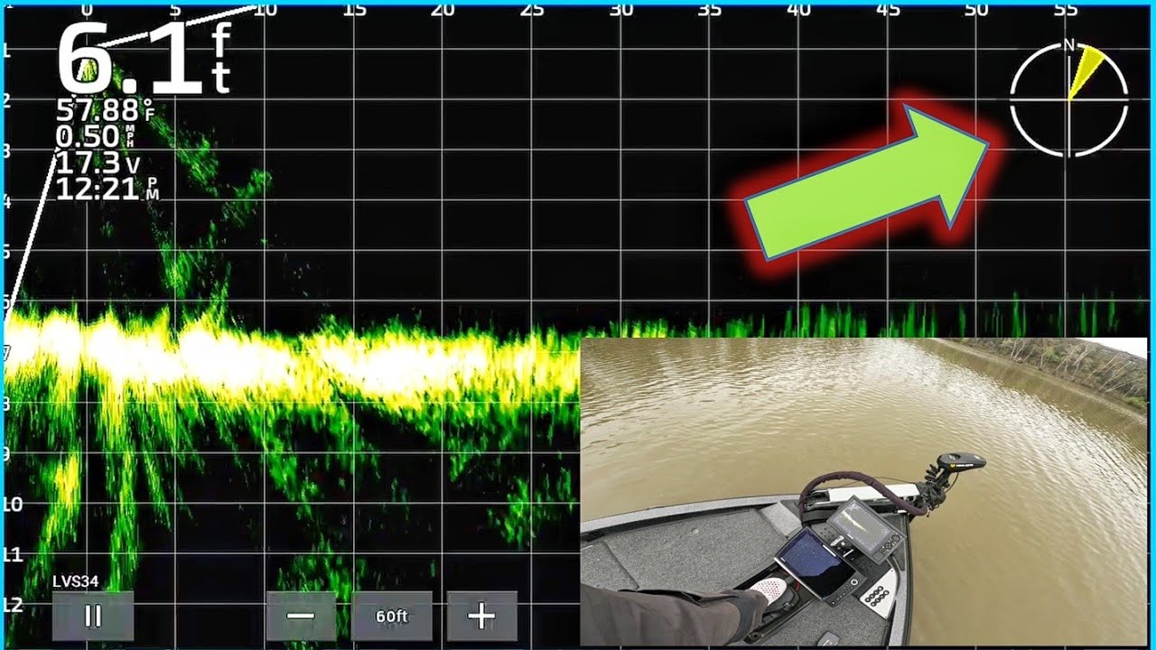 SIMPLE Trick to make your Livescope 10X more Accurate?