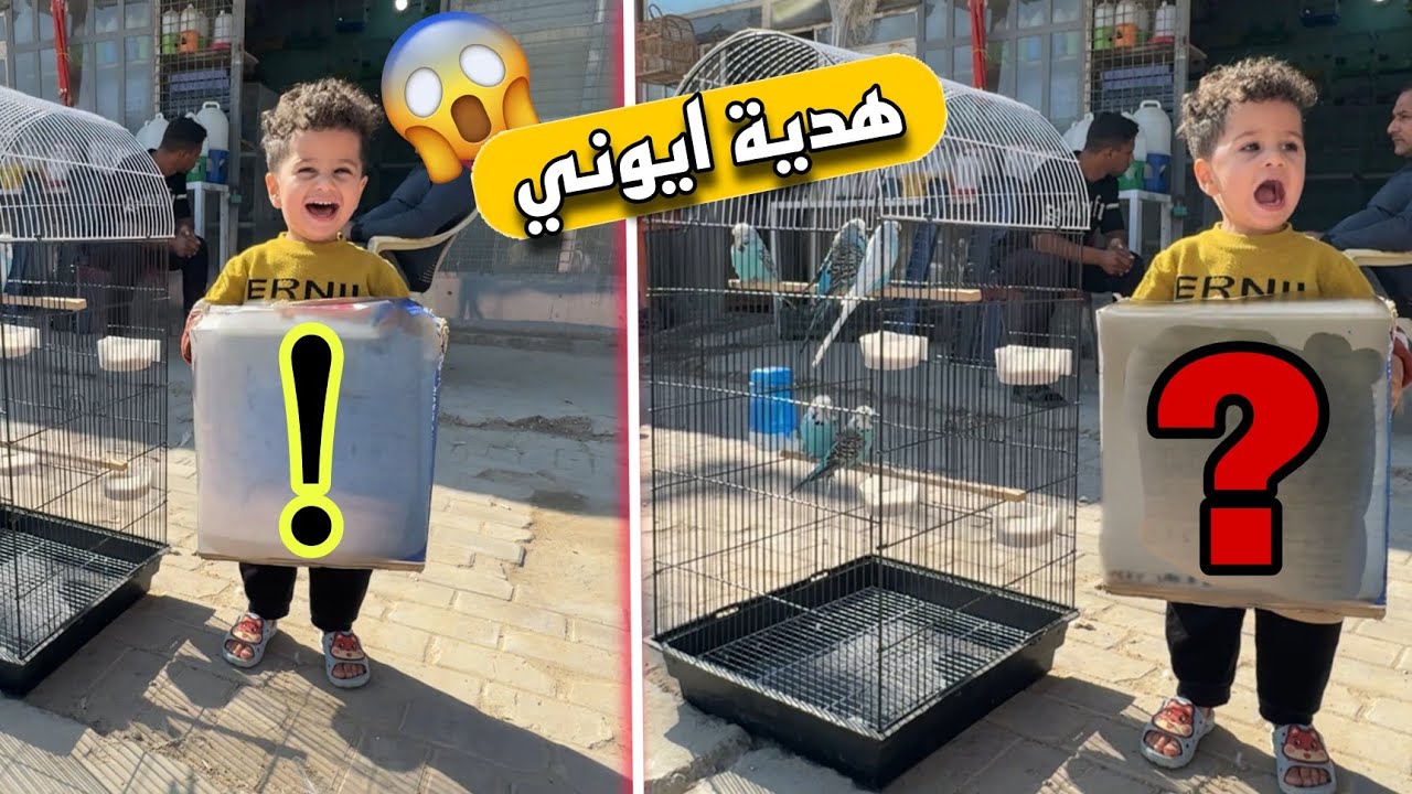 ايان جبتله حمامات 🕊️ سويتله مفاجأة 😍🔥شوفو شسوه؟!