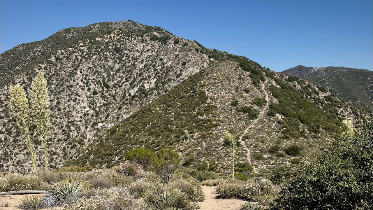 Condor Peak - ‘Pursuing Balance Through Adventure’