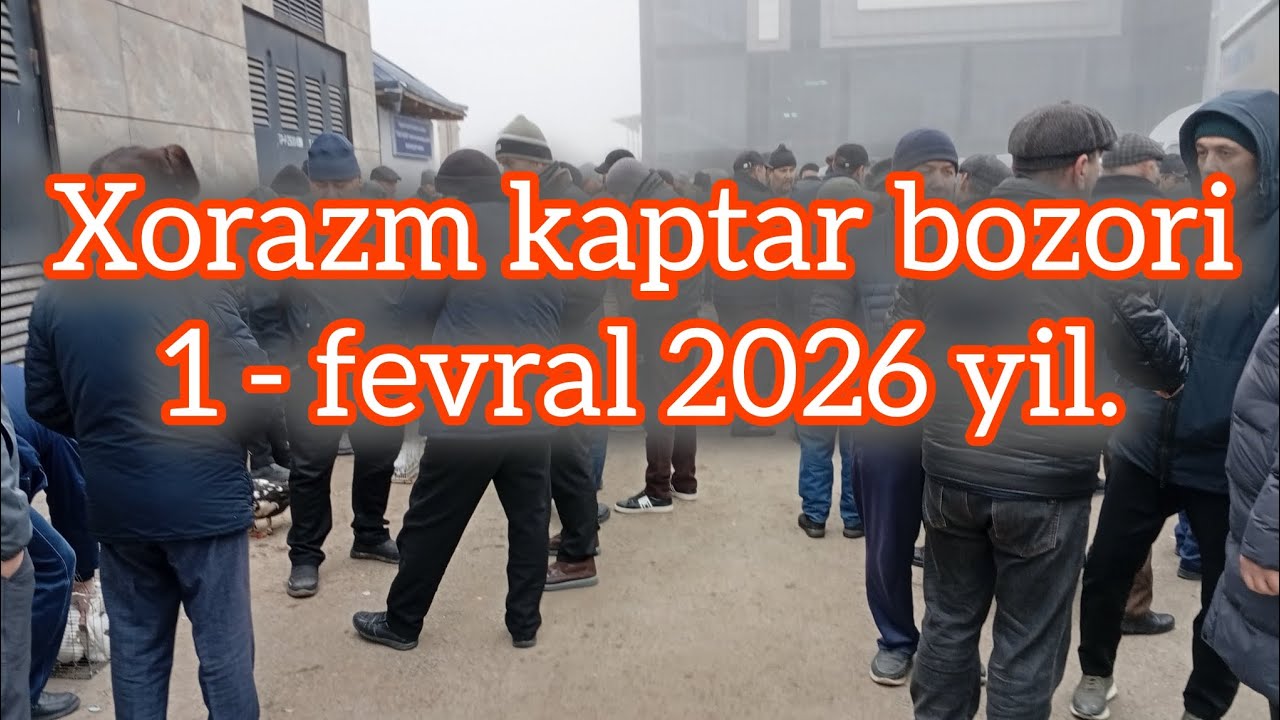 URGANCH IT, XO'ROZ, KAPTAR BOZORI 1-fevral 2026 yil |xorazmkabutarlari #bakugolub
