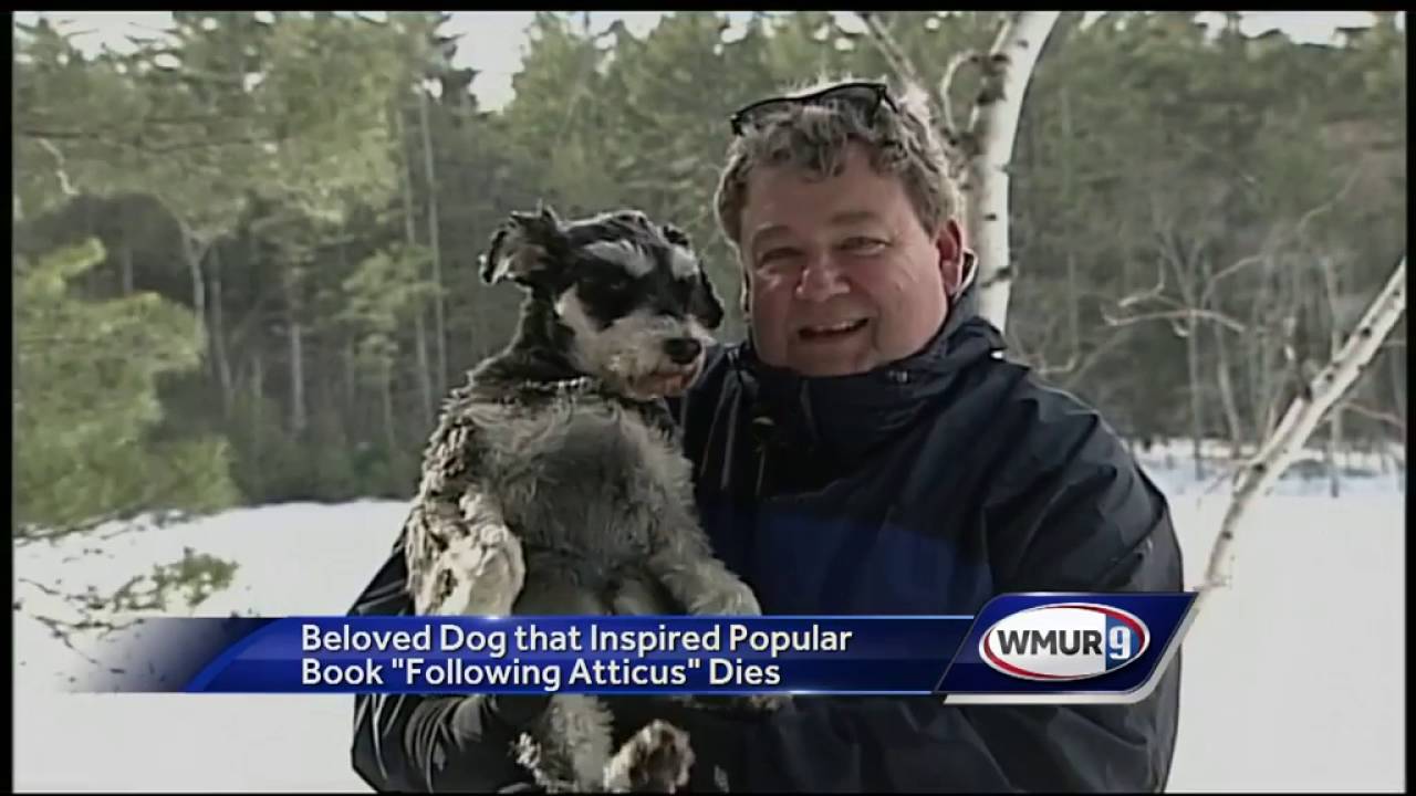 Famous New Hampshire dog 'Atticus' dies