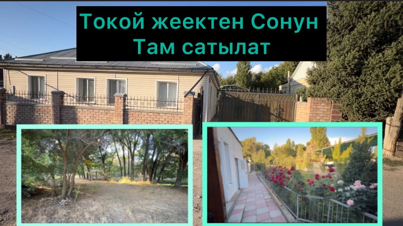 Токой жээктен Чоң Там сатылат