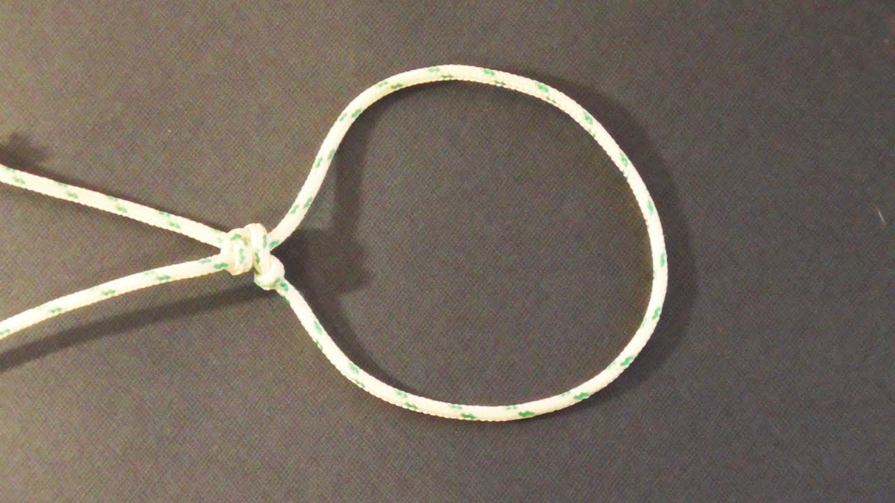 Learn How To Tie The Packer's Knot - WhyKnot