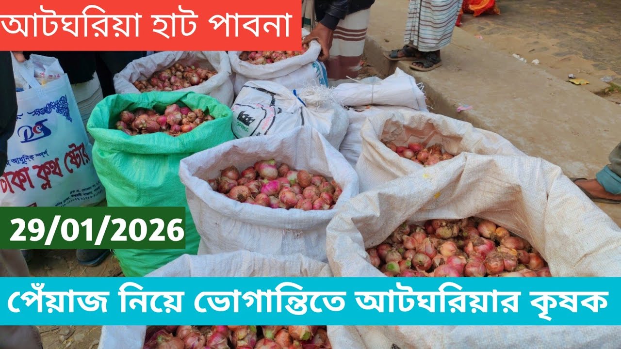 29 January 2026 পেঁয়াজ নিয়ে ভোগান্তিতে আটঘরিয়ার কৃষক। আজকের পেঁয়াজ বাজার দর। Onion market price 