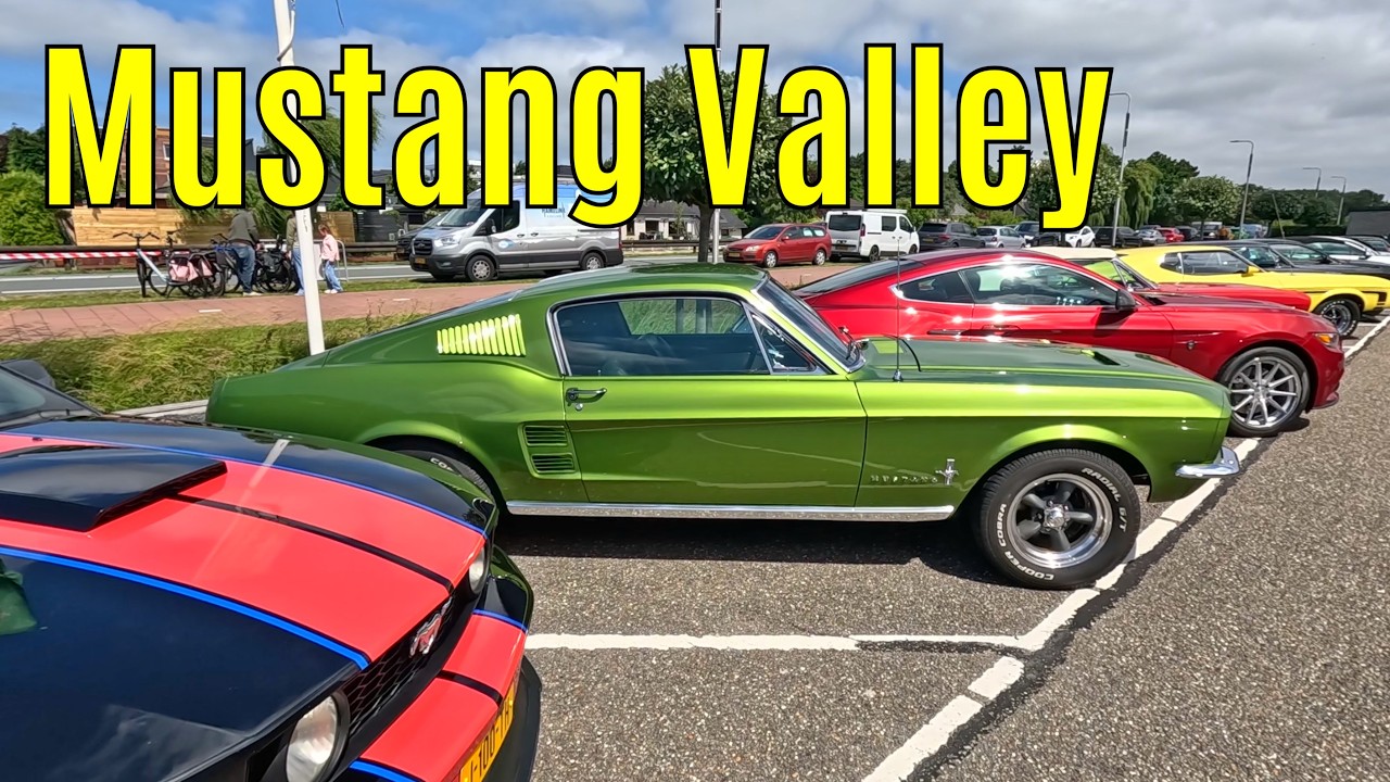 Mustang Valley 2026 part 1
