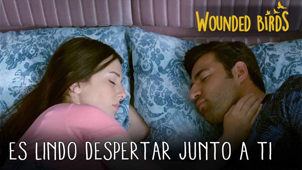 Es lindo despertar junto a ti | Wounded Birds (Yaralı Kuşlar) Cap&iacute;tulo 93