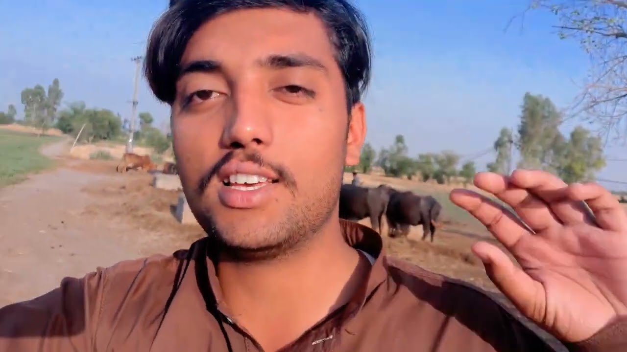 Dog bimar ho gaya ha😭