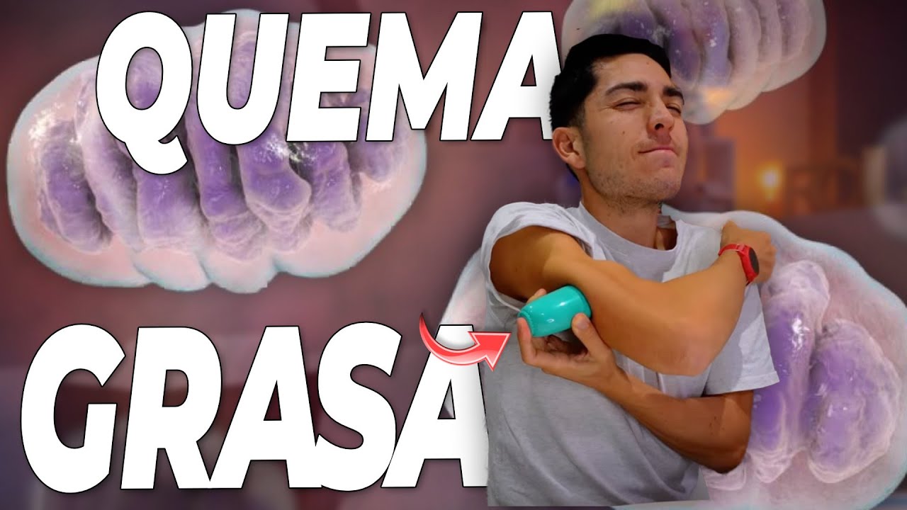 ¿Qué comida hace que tu cuerpo queme más grasa? | Roger Sans