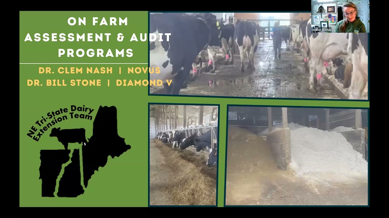 Серия вебинаров Tri-State Dairy Exchange, 19 ноября 2025 г.