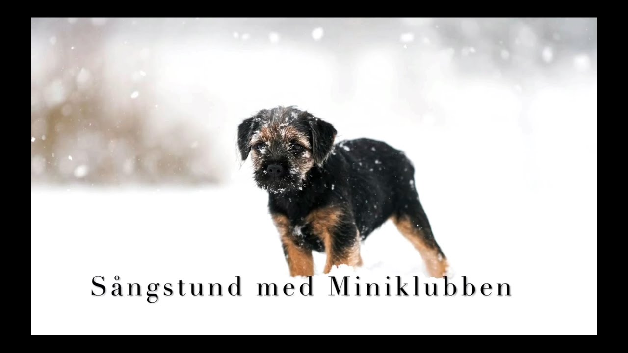 Sångstund med Miniklubben