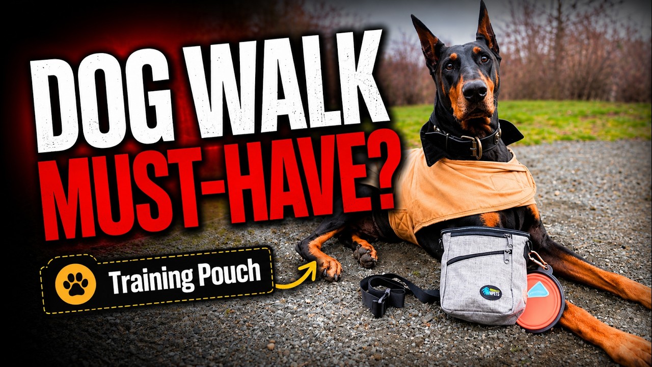Ownpets Dog Training Pouch – Is This the Best Treat Bag for Training & Walks?