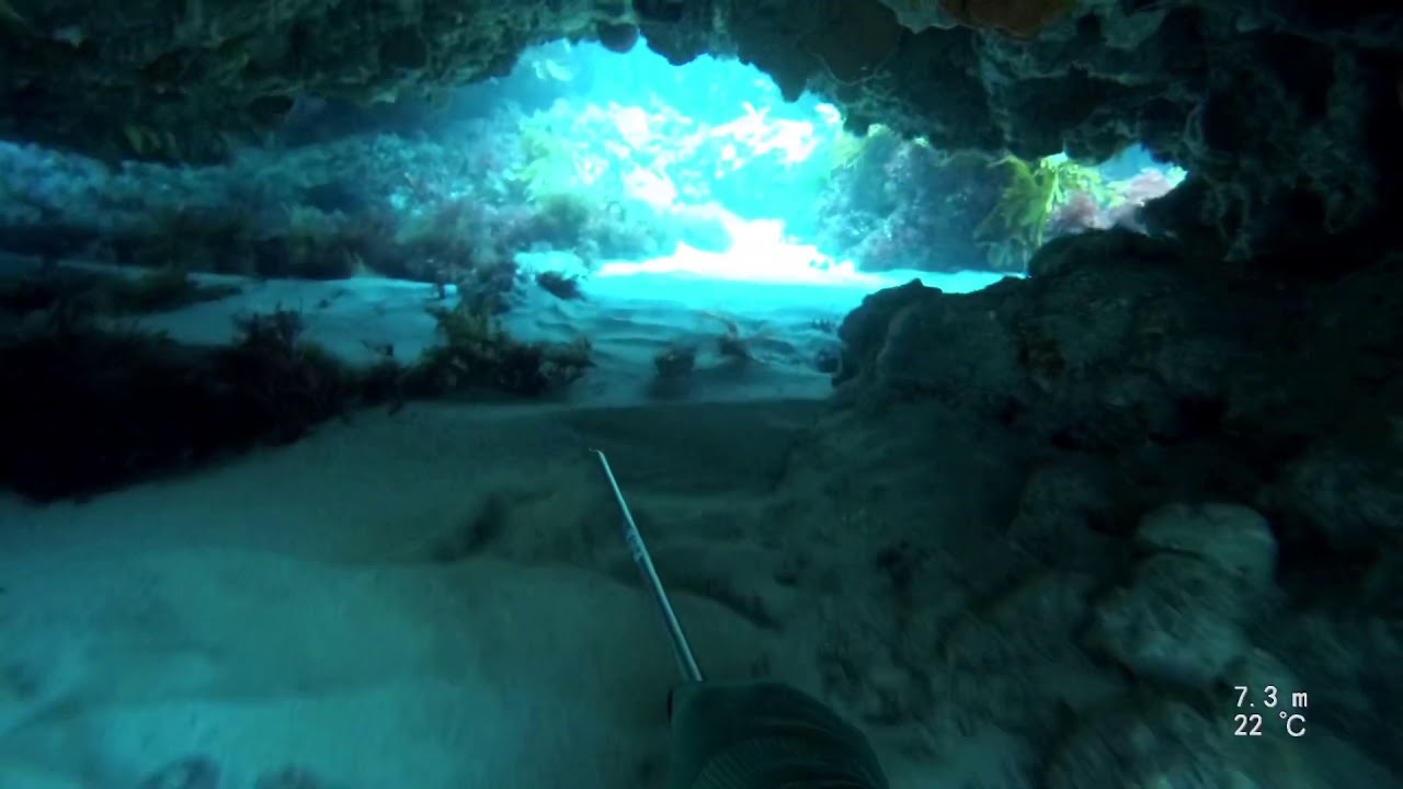 Freediving for Crayfish Perth metro