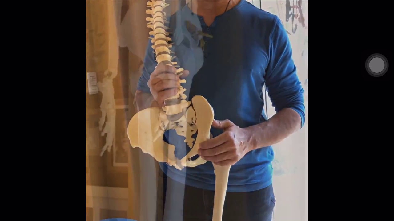 Anatomía y Biomecánica de la cadera Con Ale Chiarella